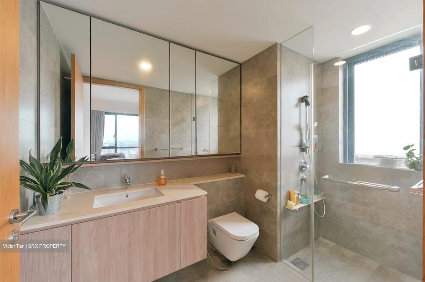 Twin Vew (D5), Apartment #455046451